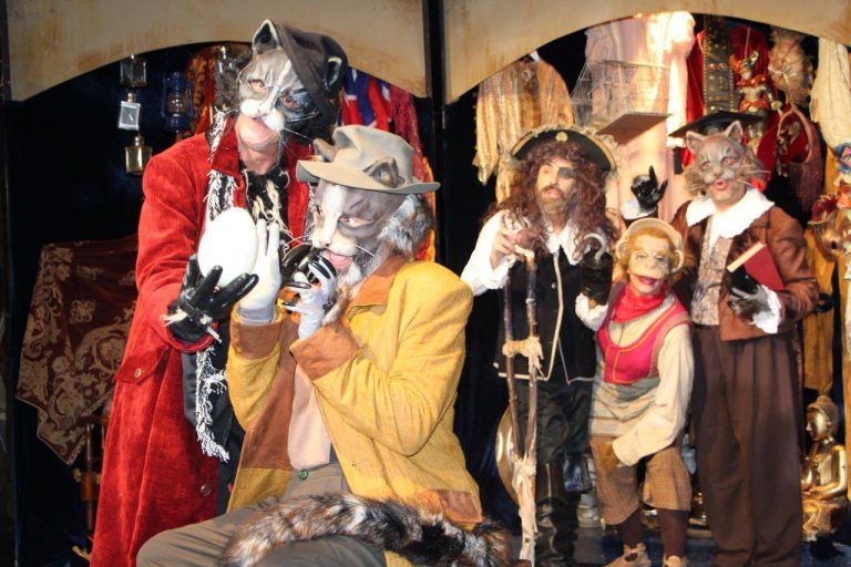 Η ιστορία του γάτου που έμαθε σε ένα γλάρο να πετάει